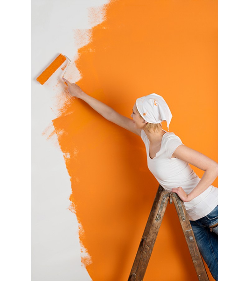 BARS İÇ CEPHE BOYASI