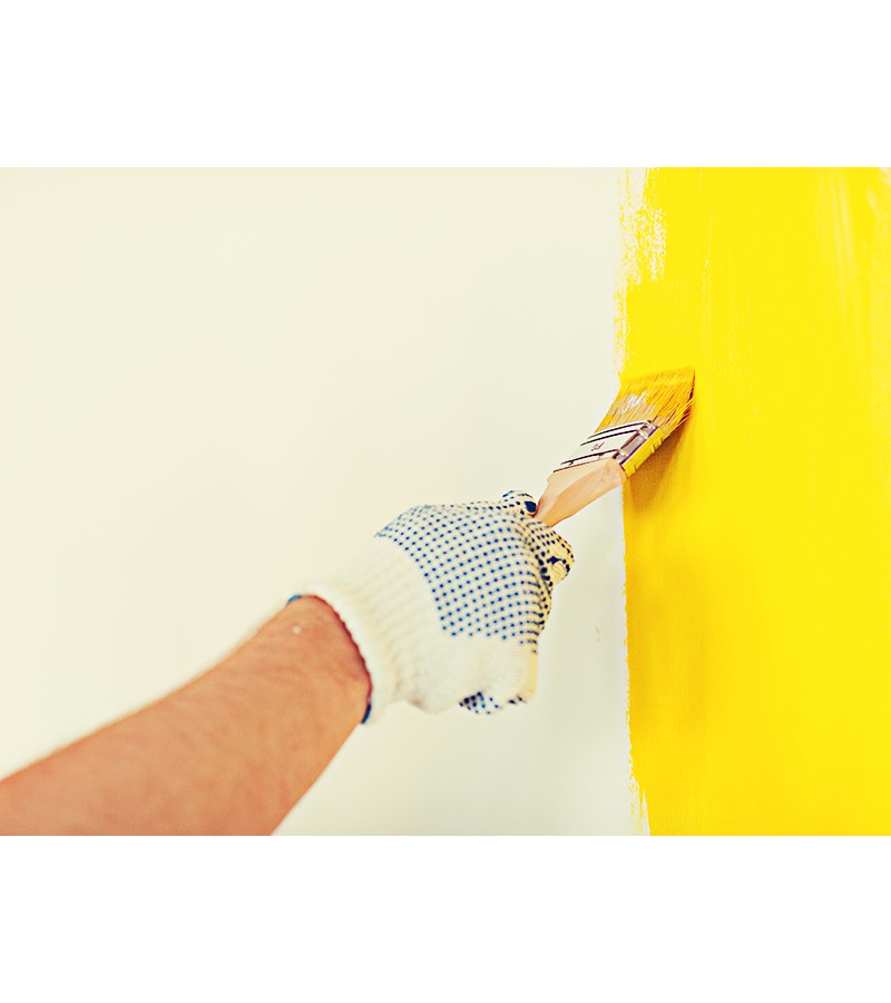 BARS İÇ CEPHE BOYASI