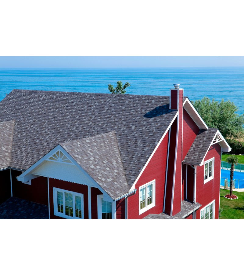 BARS DIŞ CEPHE BOYASI