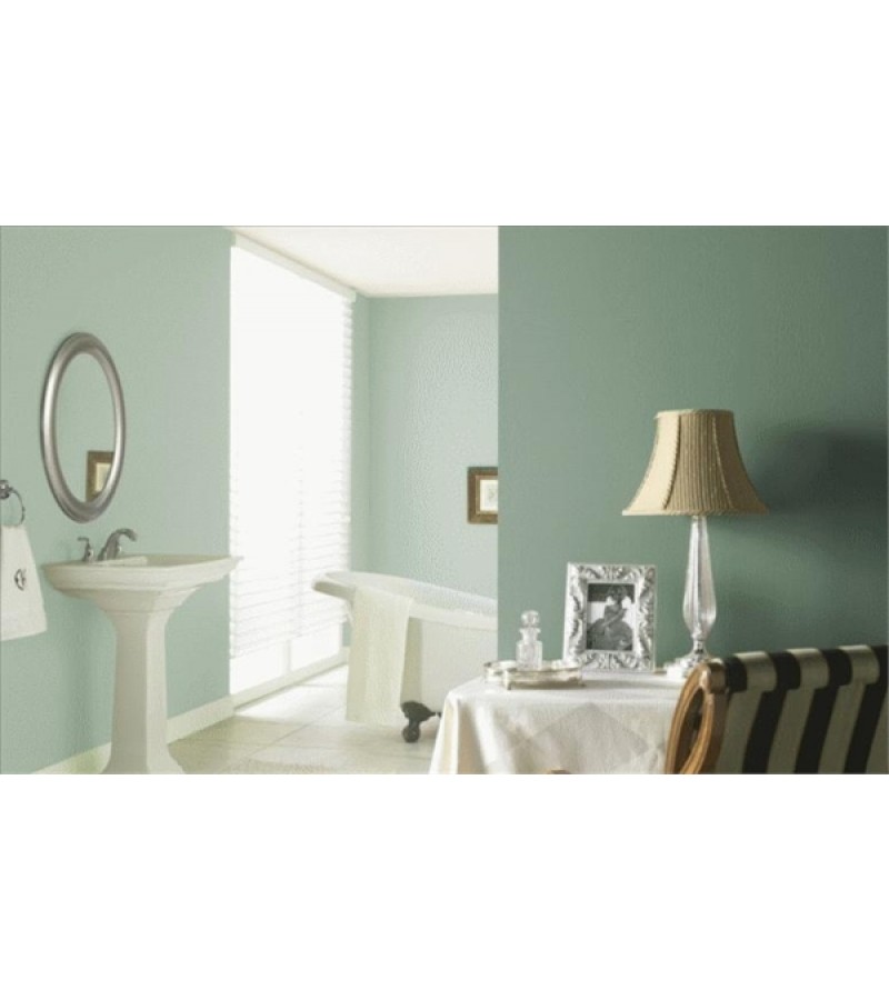 BARS İÇ CEPHE BOYASI