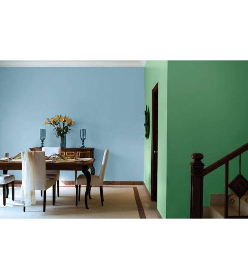 BARS İÇ CEPHE BOYASI